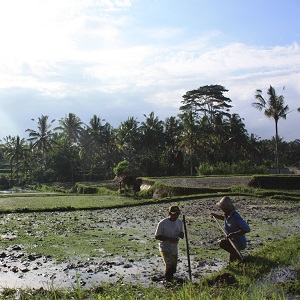 CSRは慈善事業と同じ？