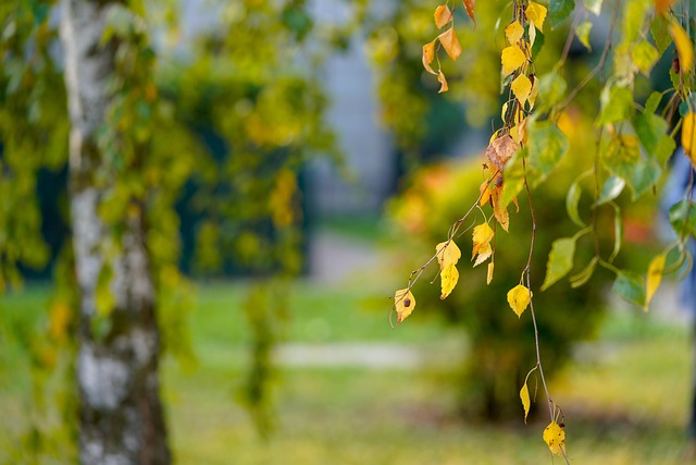 【Reflection】The Ones Who Lifted Me: A Tribute to Silent Supporters