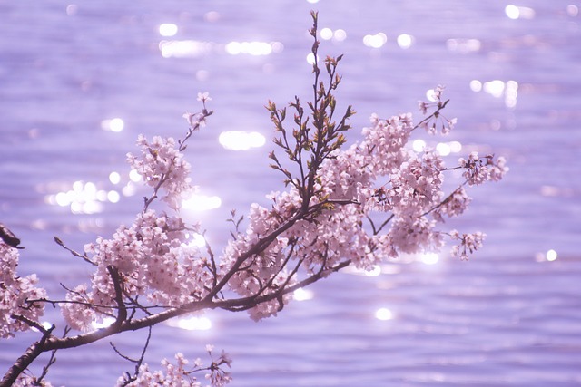 第11章：戦後日本の出発（１）占領と民主化