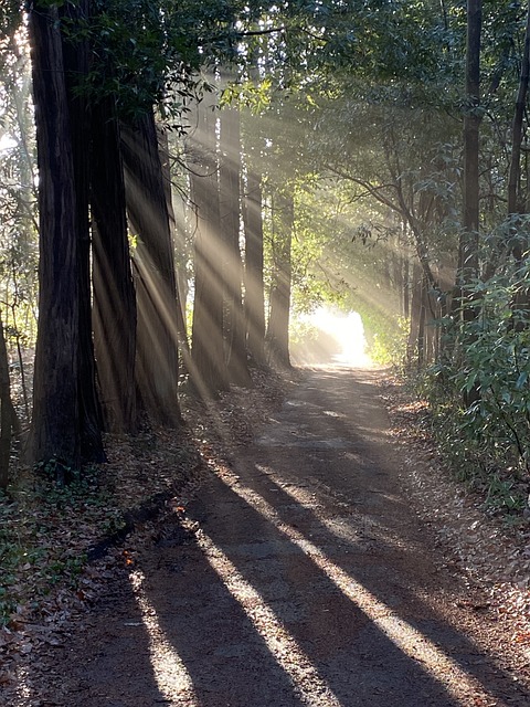 【現代文】夕陽の差すシマ（16）～虚像～