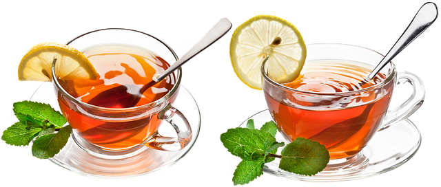 ＜お花ファンタジア＞さん【特別寄稿】ストレス軽減を骨の冷えから考える（Bilingual Edition）