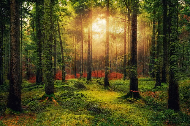 英検<sup>®</sup>１級（61）～同義語問題で英検<sup>®</sup>１級単語を制覇～