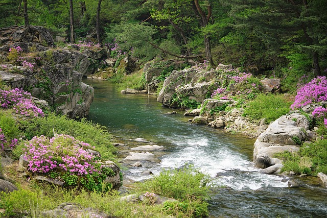 スペイン語検定試験対策（29）６級模擬試験（１）